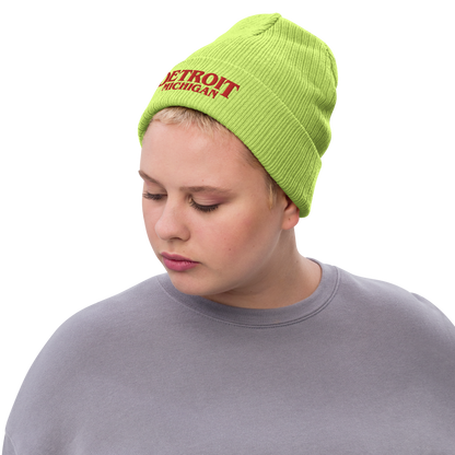 'Detroit Michigan' Ribbed Beanie (80s Teen Drama Parody)