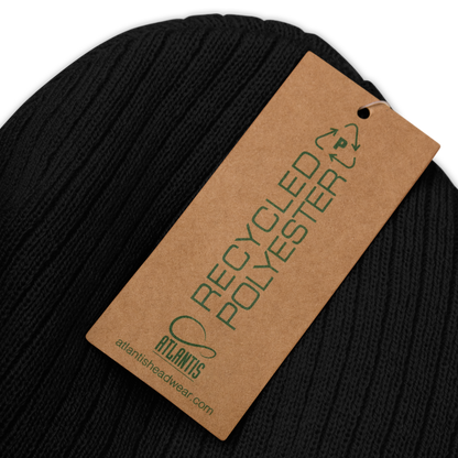 Detroit 'Old English D' Ribbed Beanie