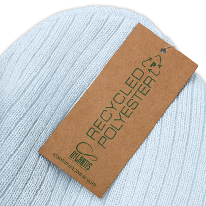 Upper Peninsula Ribbed Beanie | Blue