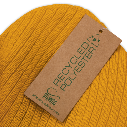 Detroit 'Old English D' Ribbed Beanie