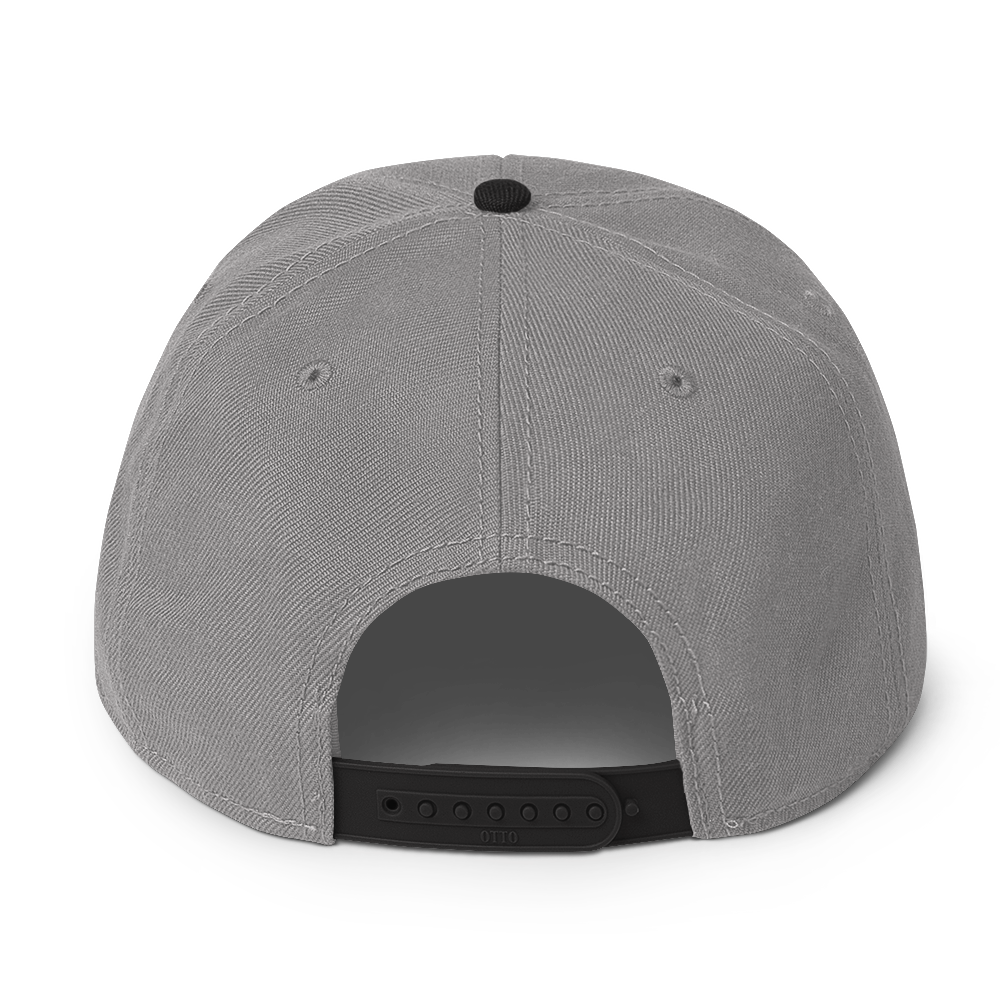 Great Lakes Snapback | 6-Panel - Platinum