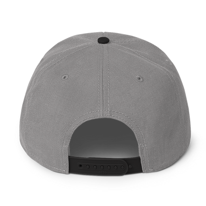 Great Lakes Snapback | 6-Panel - Platinum