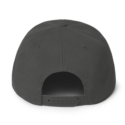 Great Lakes Snapback | 6-Panel - Platinum