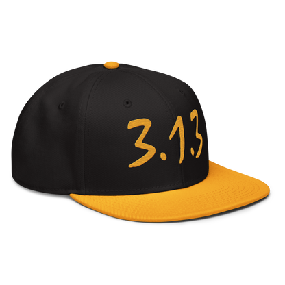 Detroit '313 Snapback (All Gold Compton Font) | 6-Panel