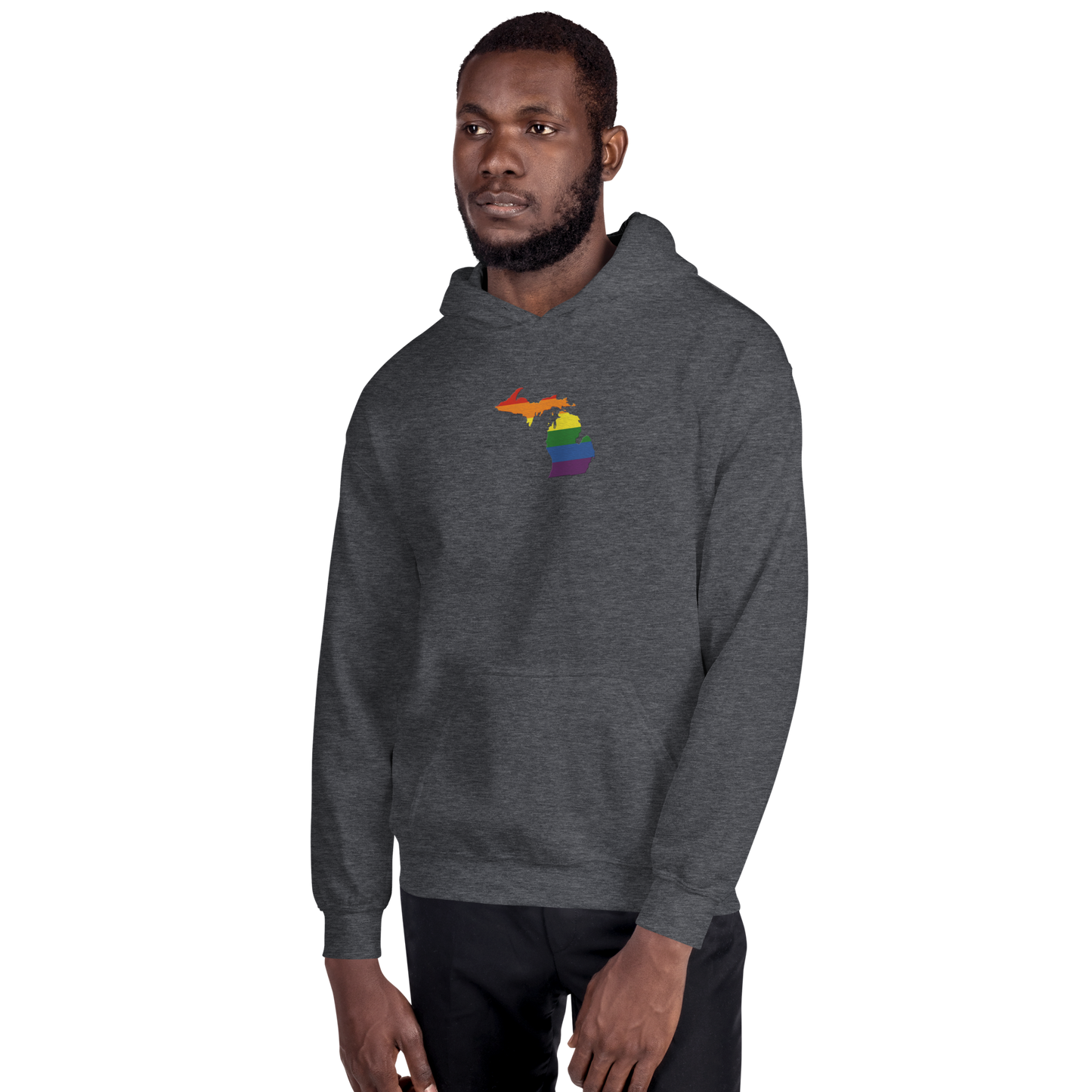 Michigan Hoodie (w/ MI Rainbow Pride Flag) | Unisex Standard - Emb.