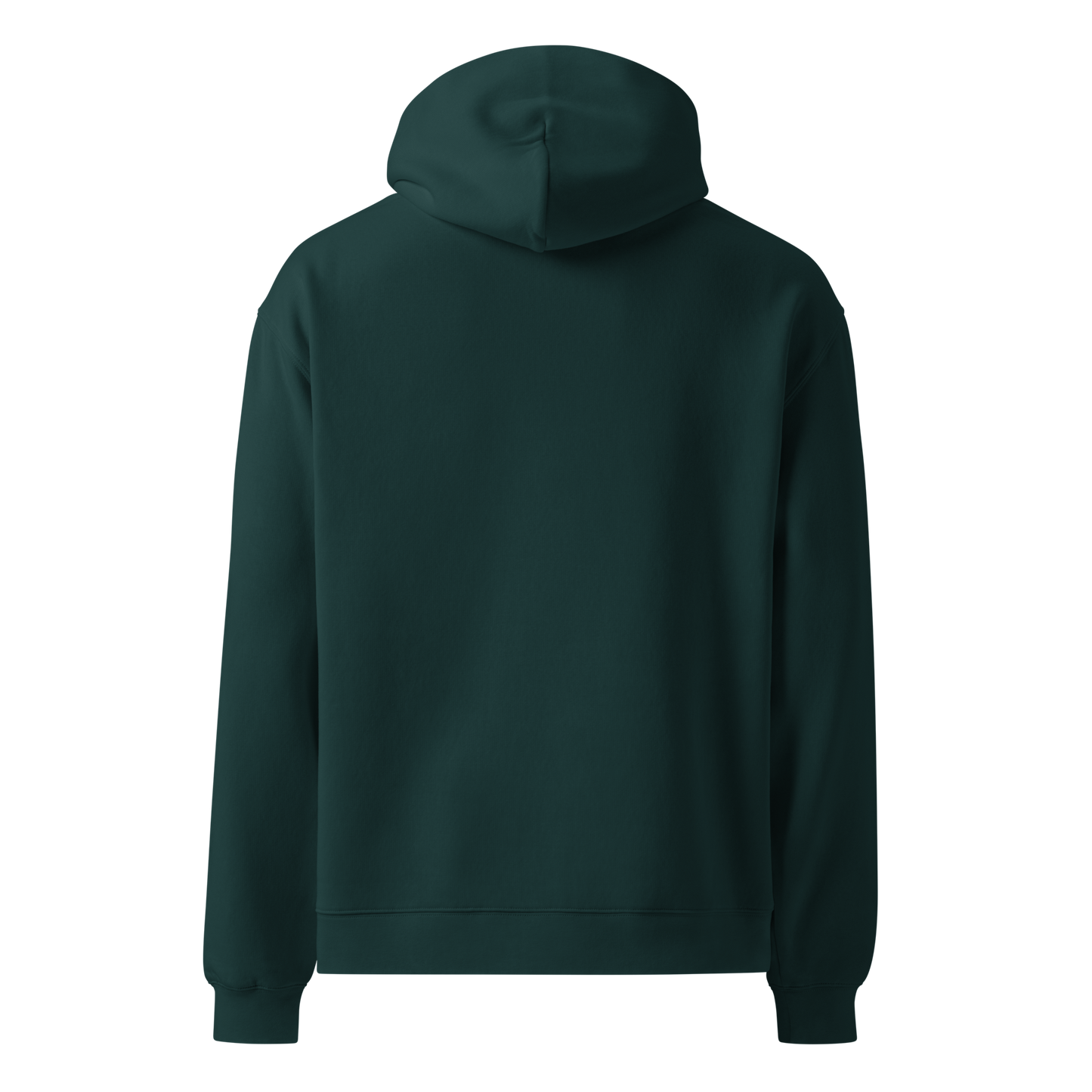 Great Lakes Oversized Hoodie | Underwater Edition