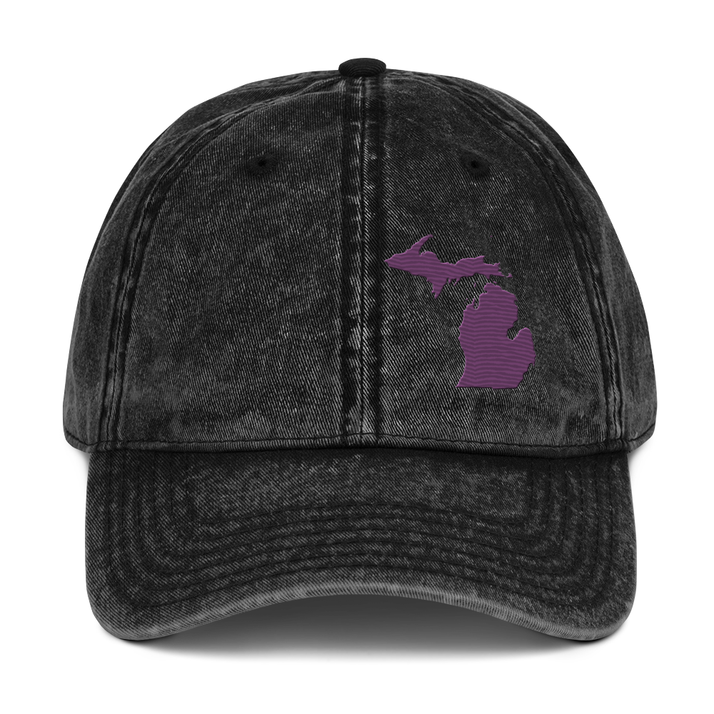 Michigan Vintage Baseball Caps | Plum Outline