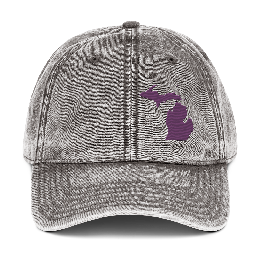 Michigan Vintage Baseball Caps | Plum Outline