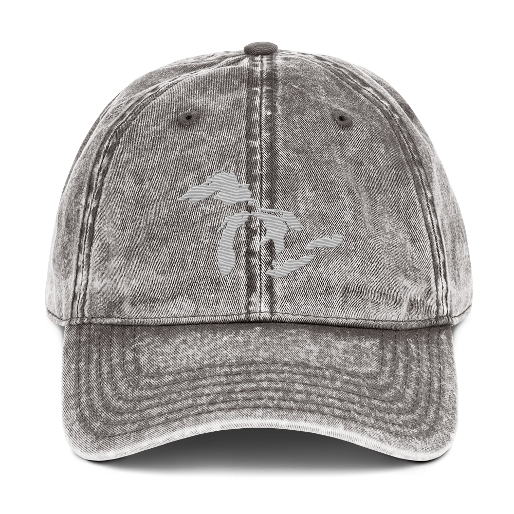 Great Lakes Vintage Baseball Cap | Platinum