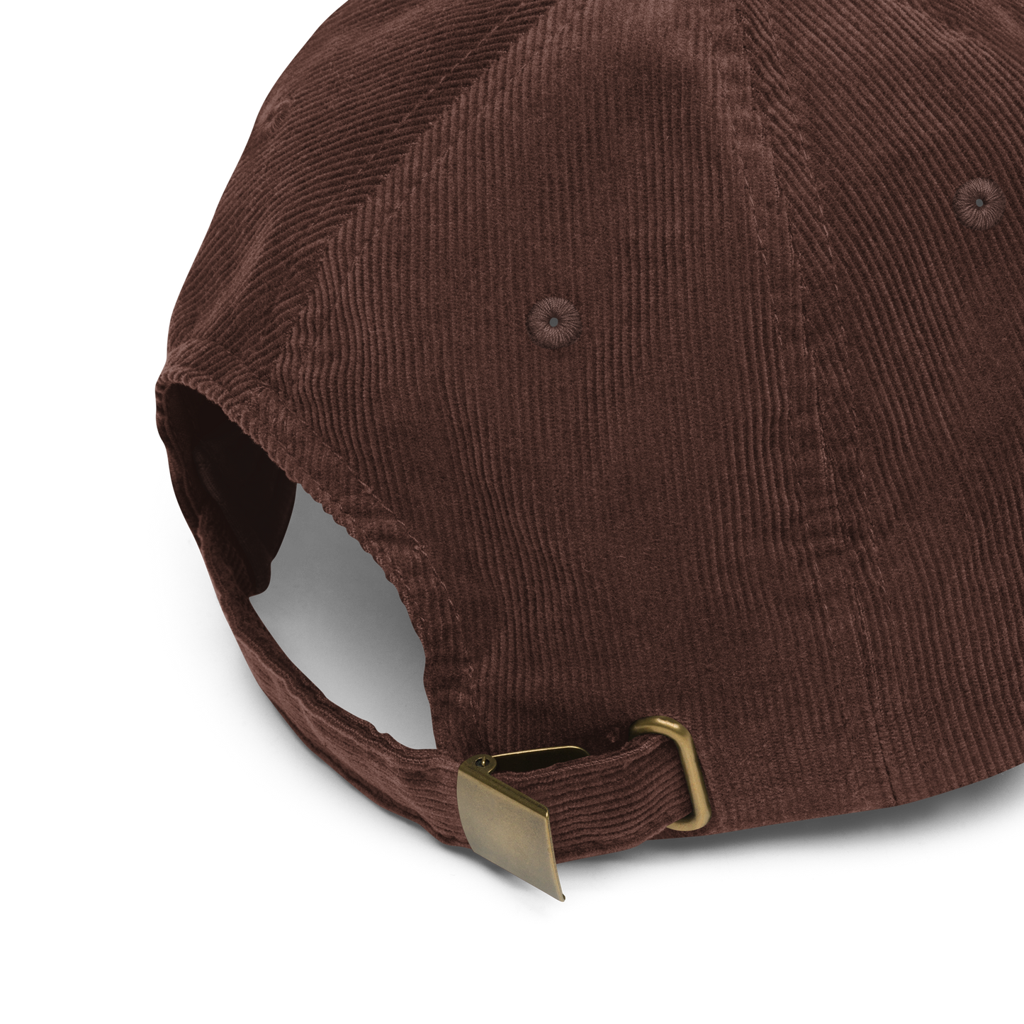 Lake Superior Corduroy Cap