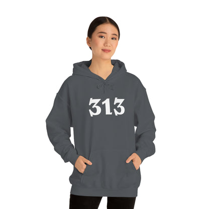 Detroit '313' Hoodie (Angry Serif Font) | Unisex Standard