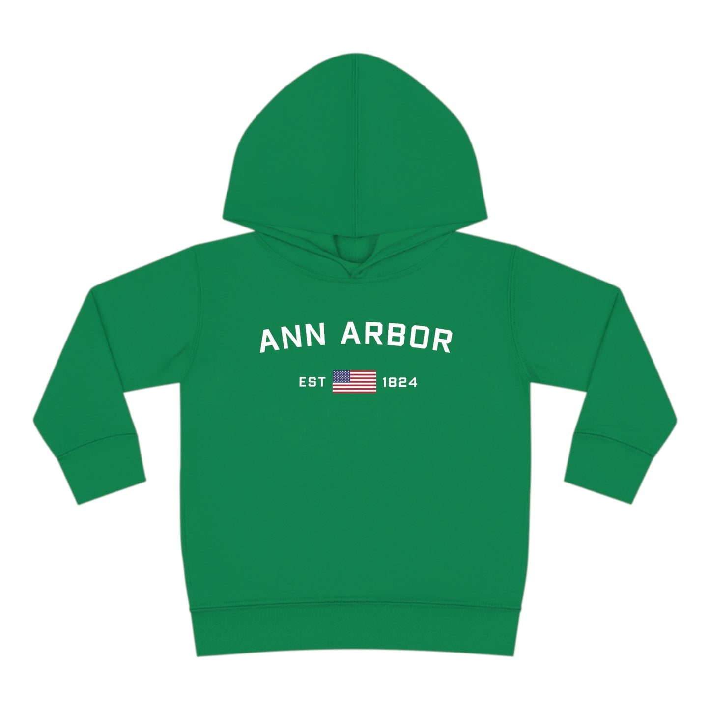 'Ann Arbor EST 1824' Hoodie (w/USA Flag Outline) | Unisex Toddler