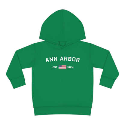 'Ann Arbor EST 1824' Hoodie (w/USA Flag Outline) | Unisex Toddler