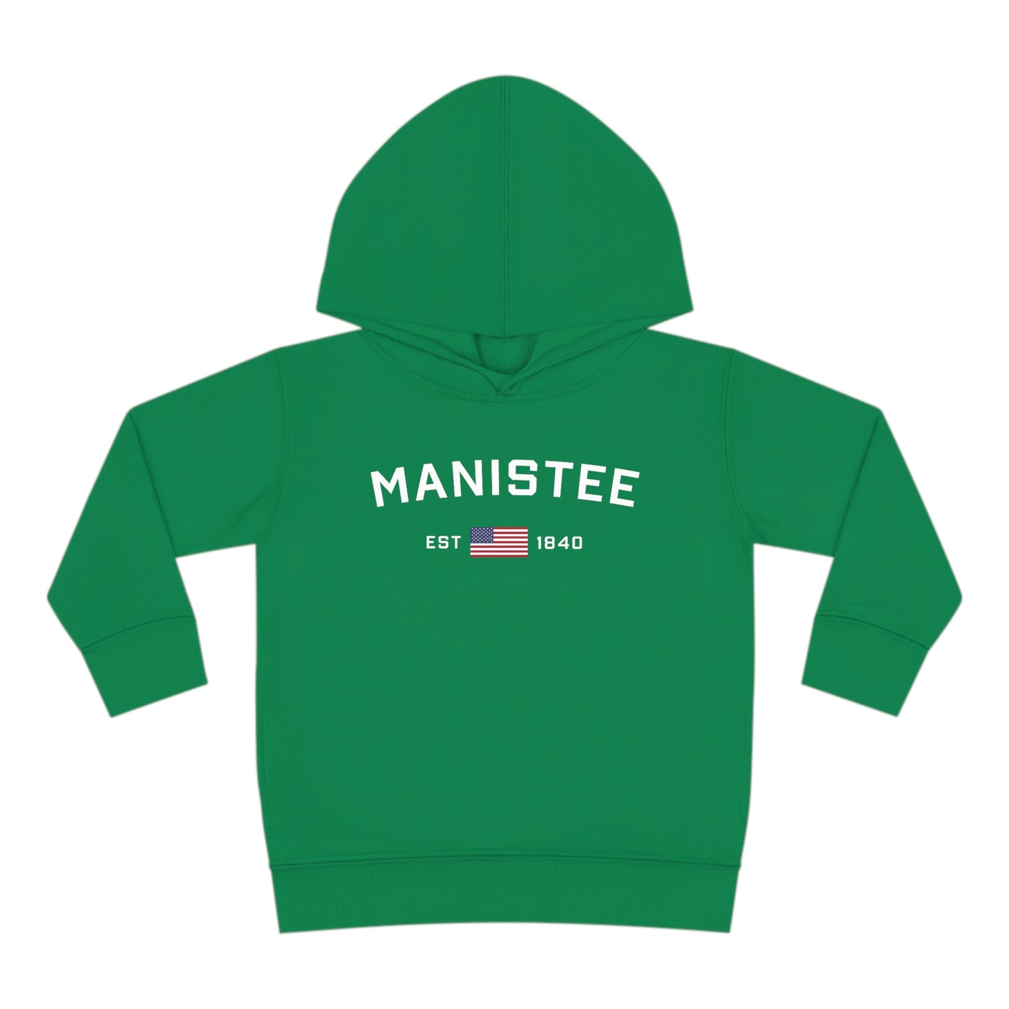 Michigan 'Manistee EST 1840' Hoodie (w/USA Flag Outline) | Unisex Toddler