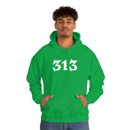 Detroit '313' Hoodie (Angry Serif Font) | Unisex Standard