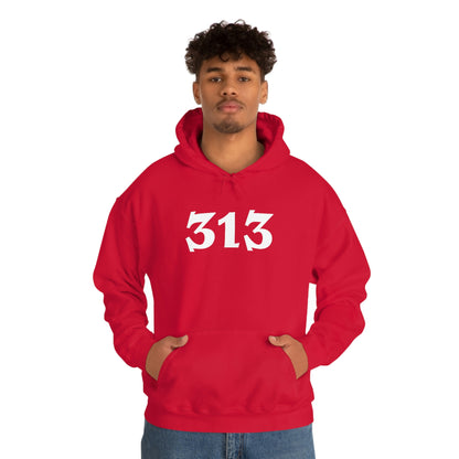 Detroit '313' Hoodie (Angry Serif Font) | Unisex Standard