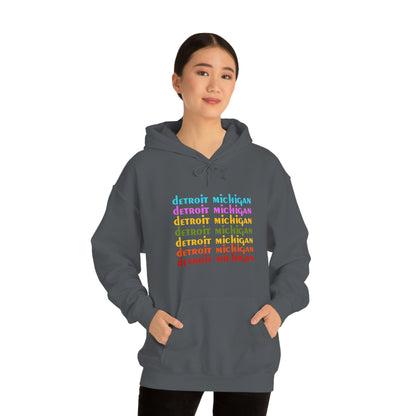 'Detroit Michigan' Hoodie (1970s Sitcom Parody) | Unisex Standard