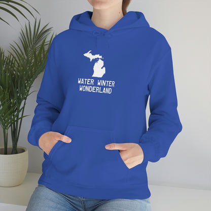 Michigan 'Water Winter Wonderland' Hoodie | Unisex Standard