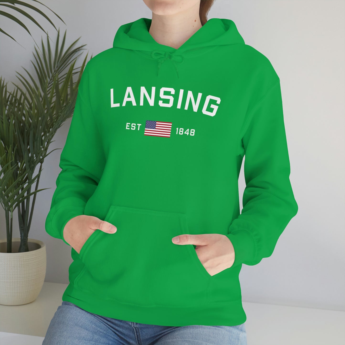 'Lansing EST 1848' Hoodie (w/USA Flag Outline) | Unisex Standard