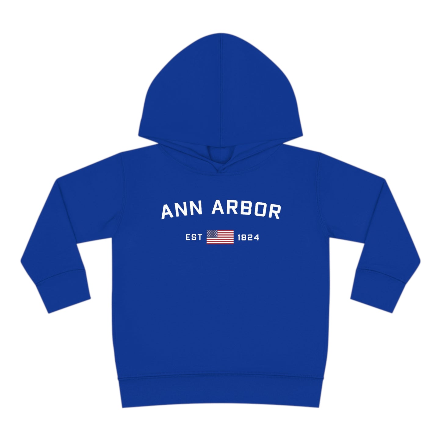 'Ann Arbor EST 1824' Hoodie (w/USA Flag Outline) | Unisex Toddler