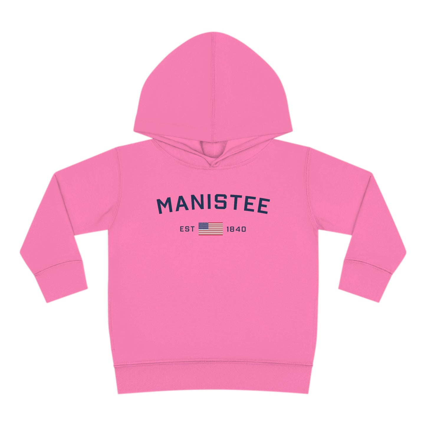 Michigan 'Manistee EST 1840' Hoodie (w/USA Flag Outline) | Unisex Toddler