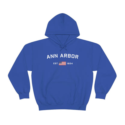 'Ann Arbor EST 1823' Hoodie (w/USA Flag Outline) | Unisex Standard