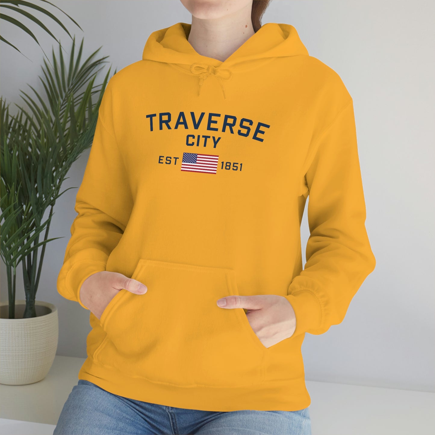 'Traverse City EST 1851' Hoodie (w/USA Flag Outline) | Unisex Standard