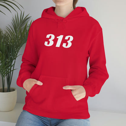 Detroit '313' Hoodie (Racing Font) | Unisex Standard