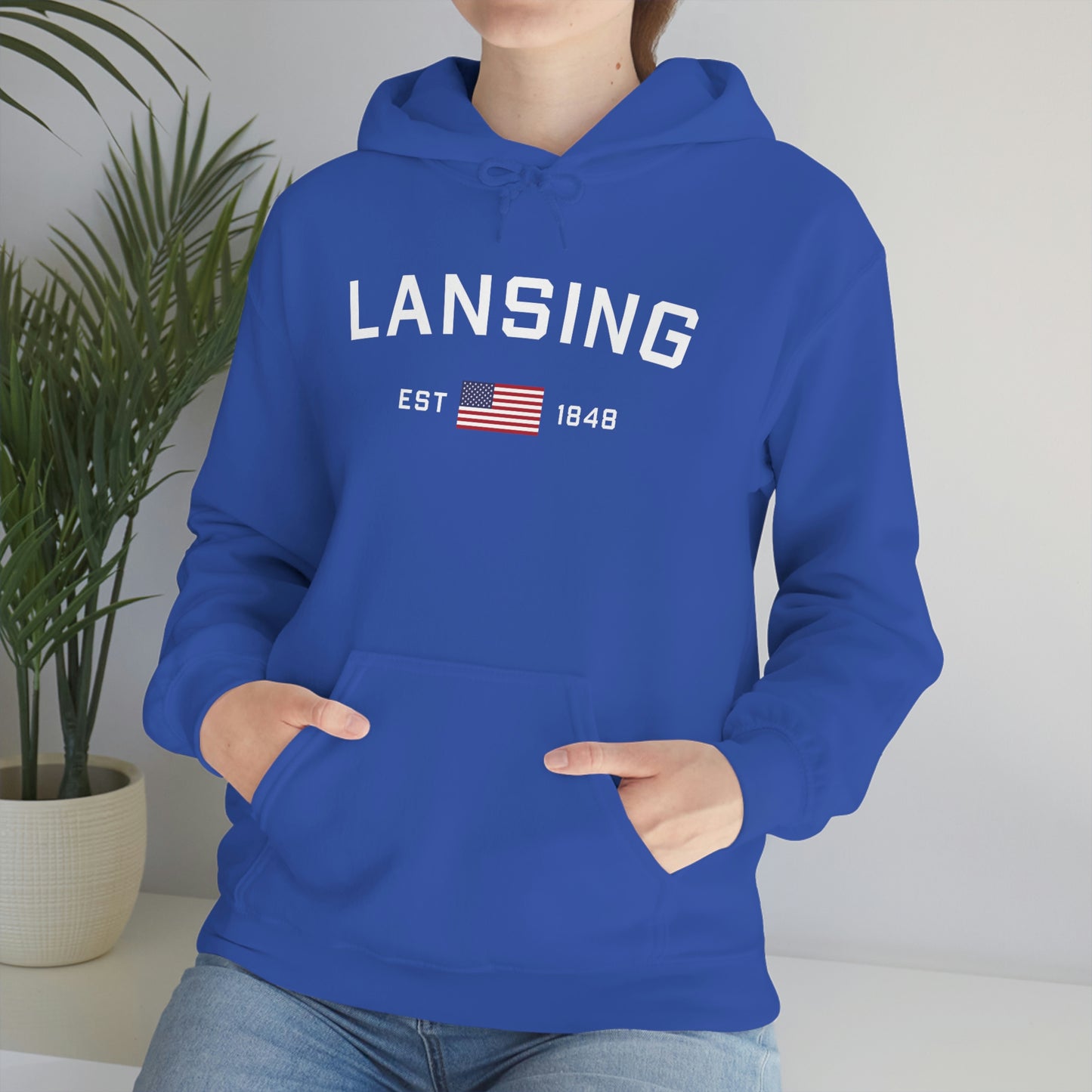 'Lansing EST 1848' Hoodie (w/USA Flag Outline) | Unisex Standard