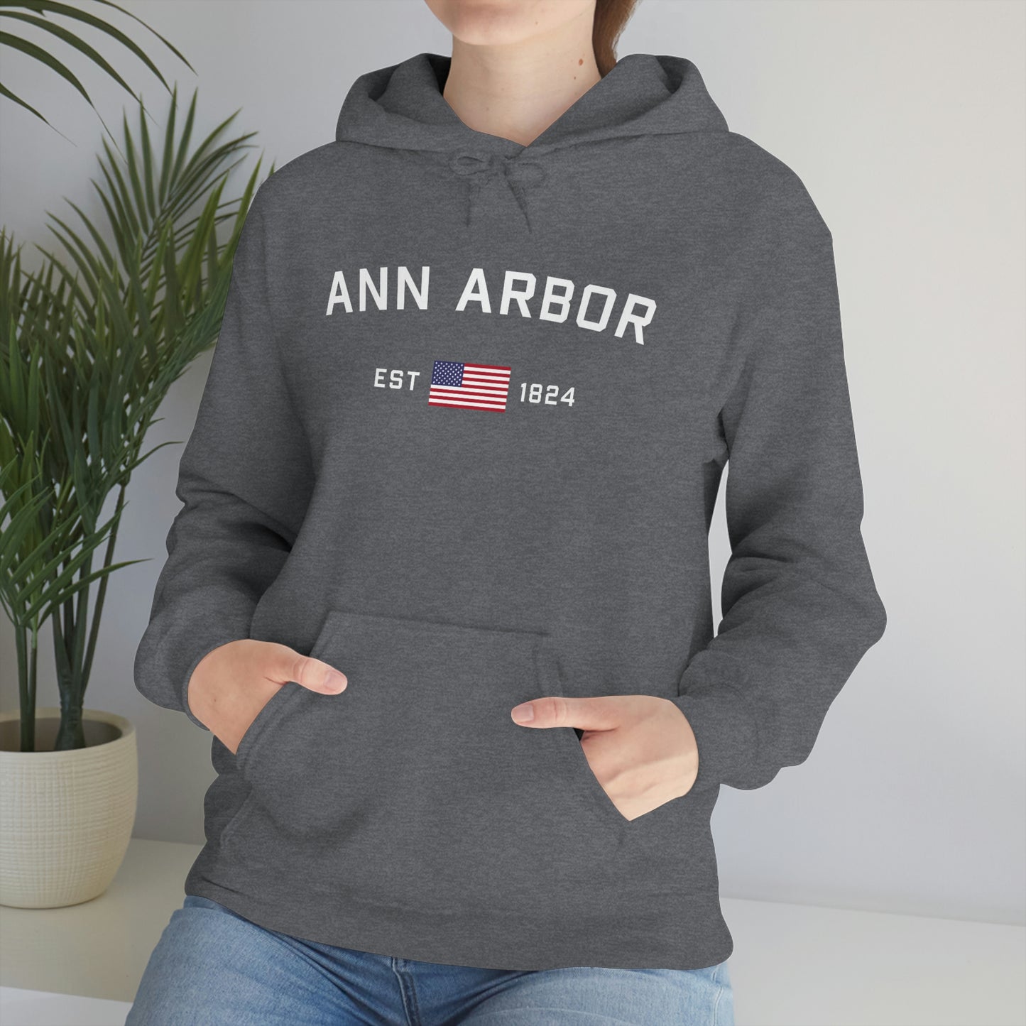 'Ann Arbor EST 1823' Hoodie (w/USA Flag Outline) | Unisex Standard