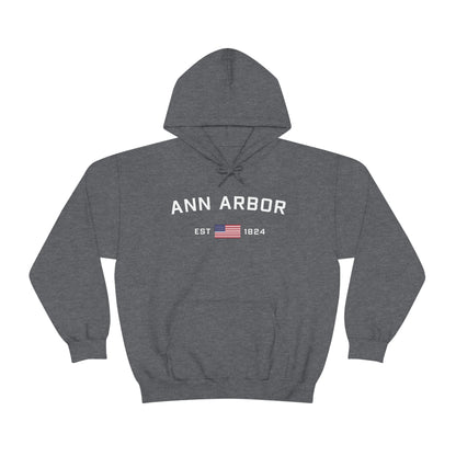 'Ann Arbor EST 1823' Hoodie (w/USA Flag Outline) | Unisex Standard