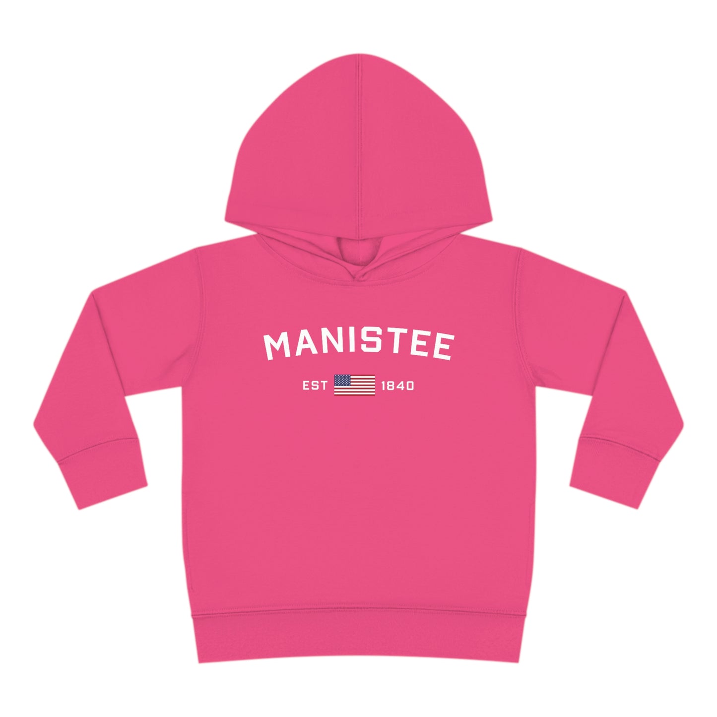 Michigan 'Manistee EST 1840' Hoodie (w/USA Flag Outline) | Unisex Toddler