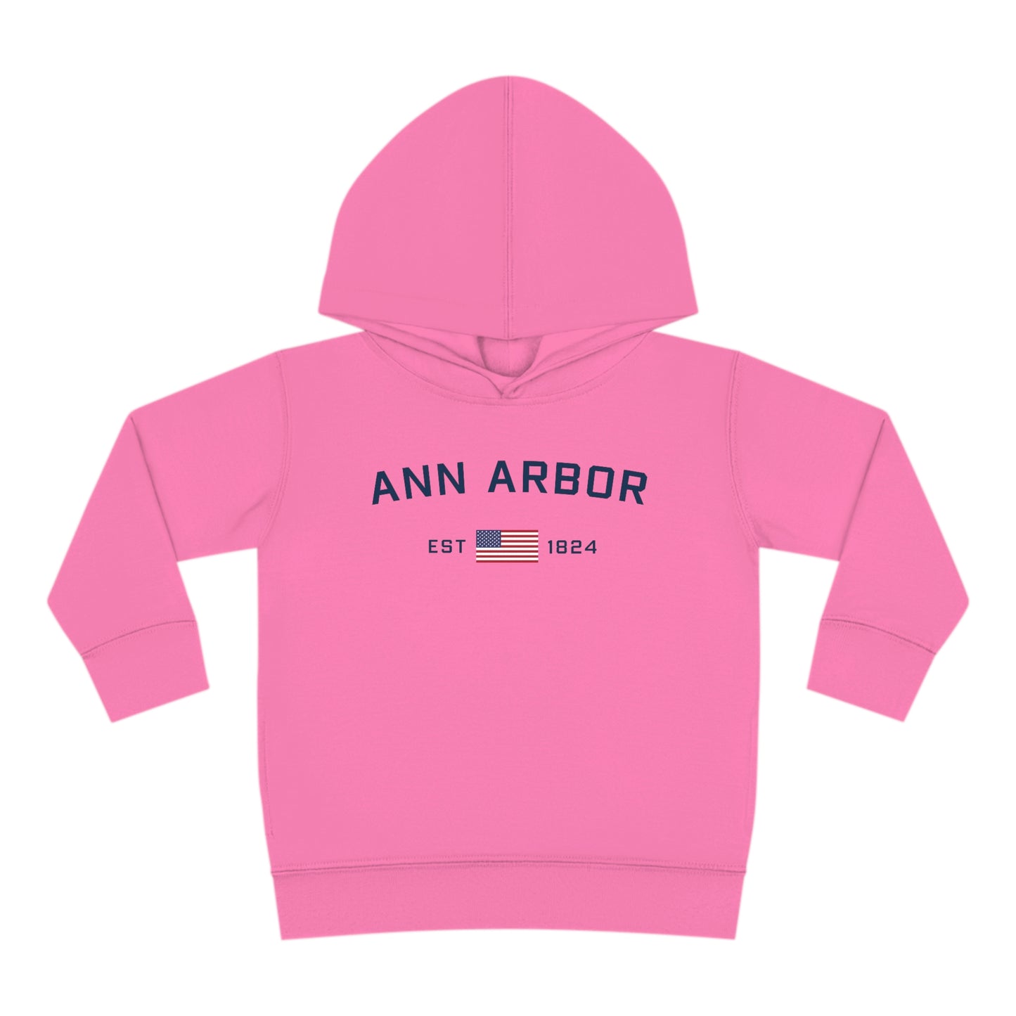 'Ann Arbor EST 1824' Hoodie (w/USA Flag Outline) | Unisex Toddler