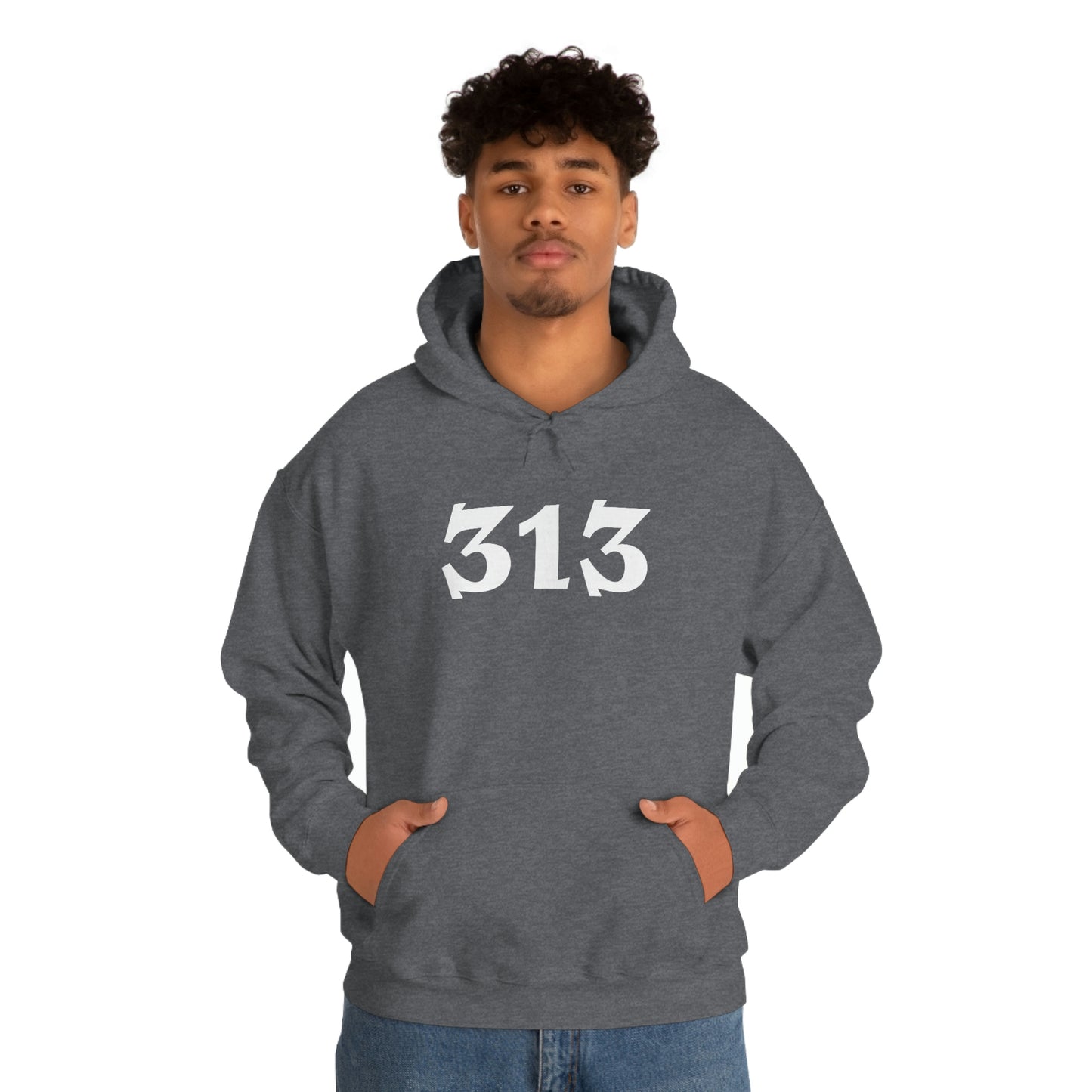 Detroit '313' Hoodie (Angry Serif Font) | Unisex Standard