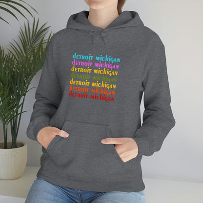 'Detroit Michigan' Hoodie (1970s Sitcom Parody) | Unisex Standard