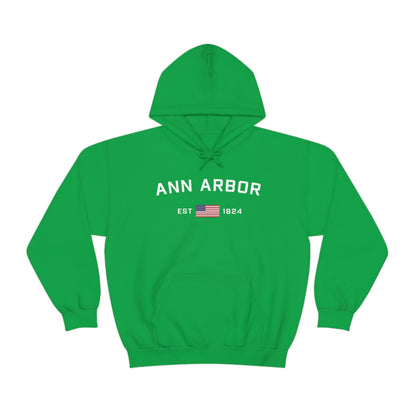 'Ann Arbor EST 1823' Hoodie (w/USA Flag Outline) | Unisex Standard