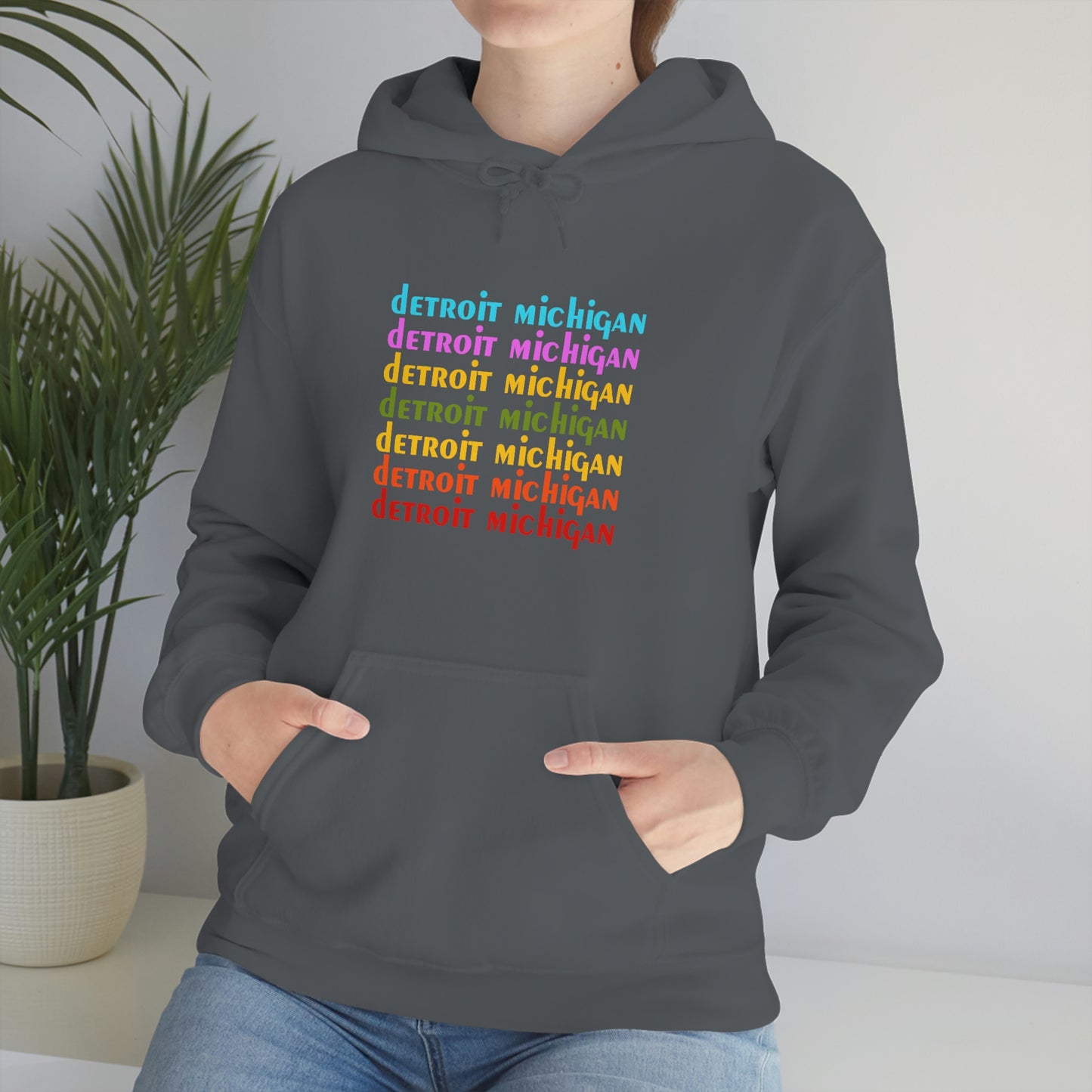 'Detroit Michigan' Hoodie (1970s Sitcom Parody) | Unisex Standard