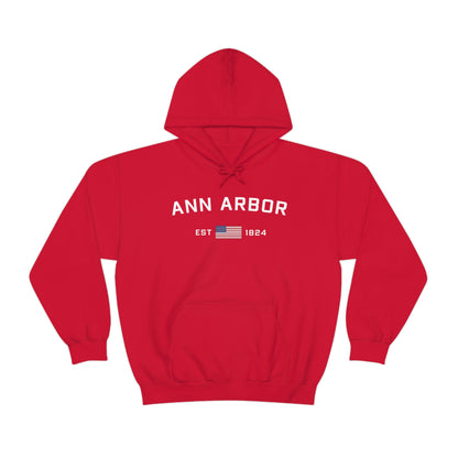 'Ann Arbor EST 1823' Hoodie (w/USA Flag Outline) | Unisex Standard