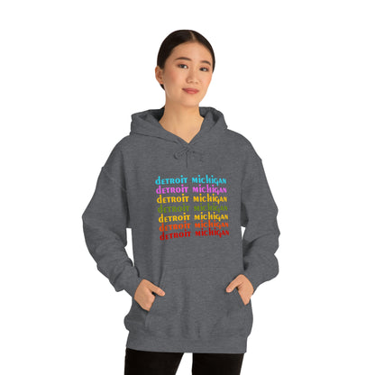 'Detroit Michigan' Hoodie (1970s Sitcom Parody) | Unisex Standard