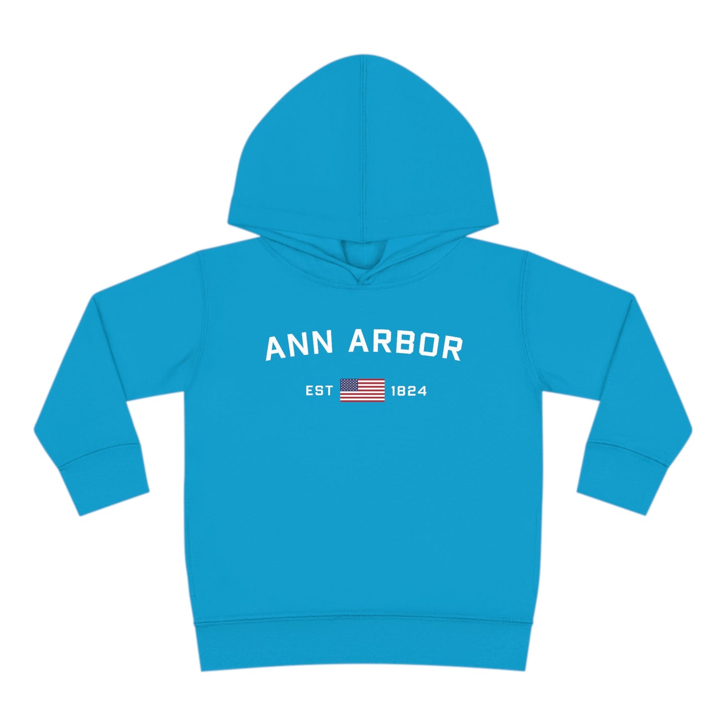 'Ann Arbor EST 1824' Hoodie (w/USA Flag Outline) | Unisex Toddler