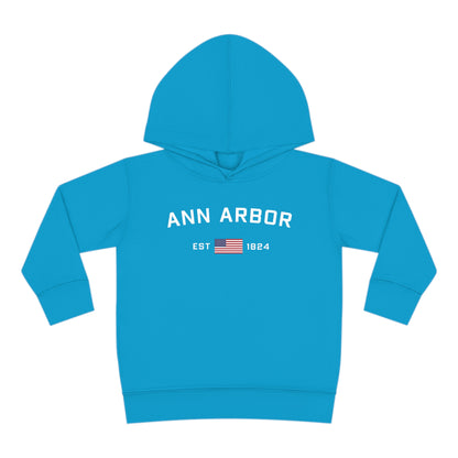 'Ann Arbor EST 1824' Hoodie (w/USA Flag Outline) | Unisex Toddler