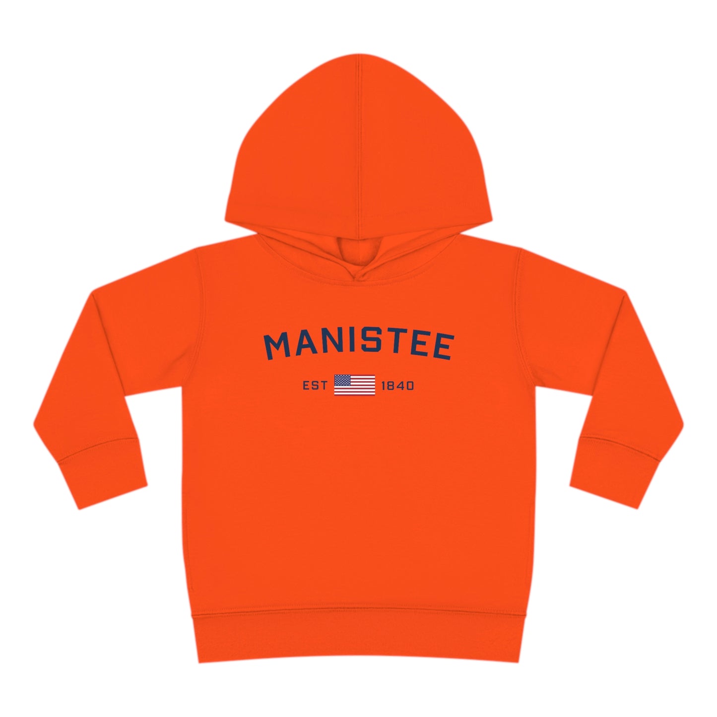 Michigan 'Manistee EST 1840' Hoodie (w/USA Flag Outline) | Unisex Toddler