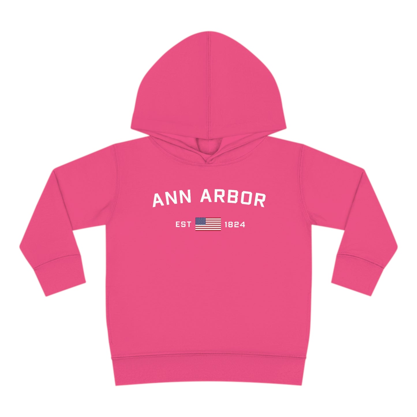 'Ann Arbor EST 1824' Hoodie (w/USA Flag Outline) | Unisex Toddler