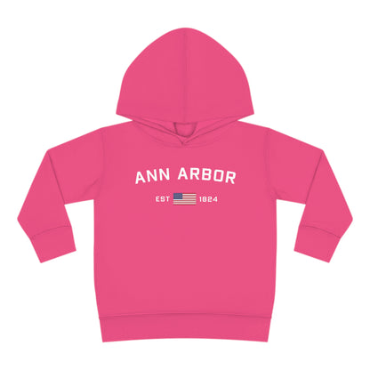 'Ann Arbor EST 1824' Hoodie (w/USA Flag Outline) | Unisex Toddler