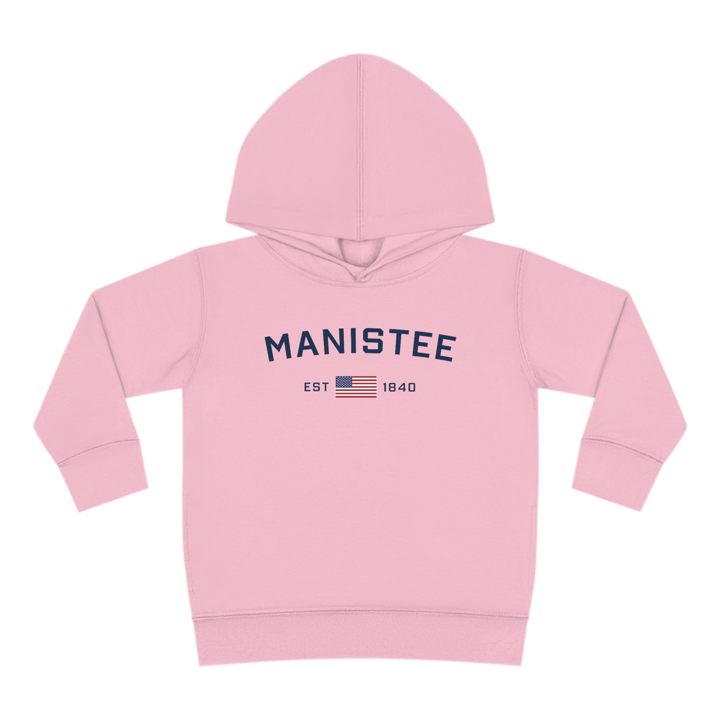 Michigan 'Manistee EST 1840' Hoodie (w/USA Flag Outline) | Unisex Toddler