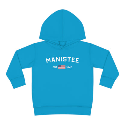 Michigan 'Manistee EST 1840' Hoodie (w/USA Flag Outline) | Unisex Toddler