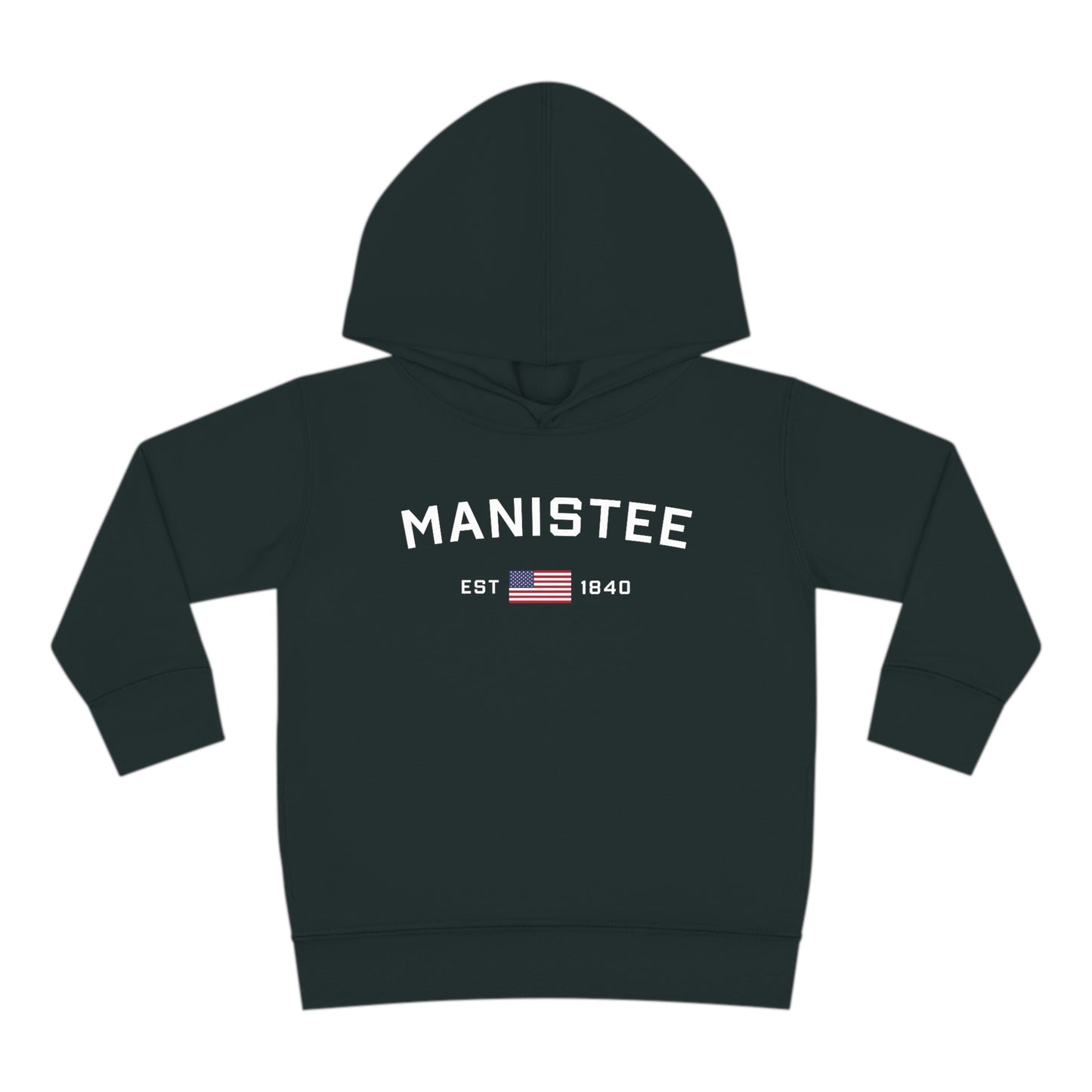 Michigan 'Manistee EST 1840' Hoodie (w/USA Flag Outline) | Unisex Toddler