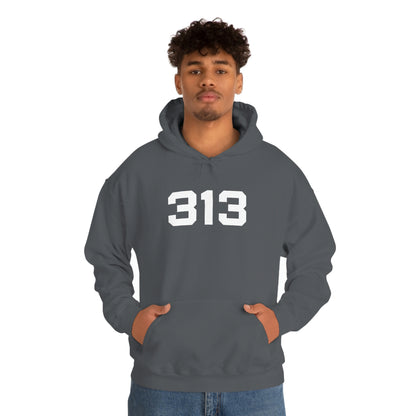 Detroit '313' Hoodie (Athletic Font) | Unisex Standard