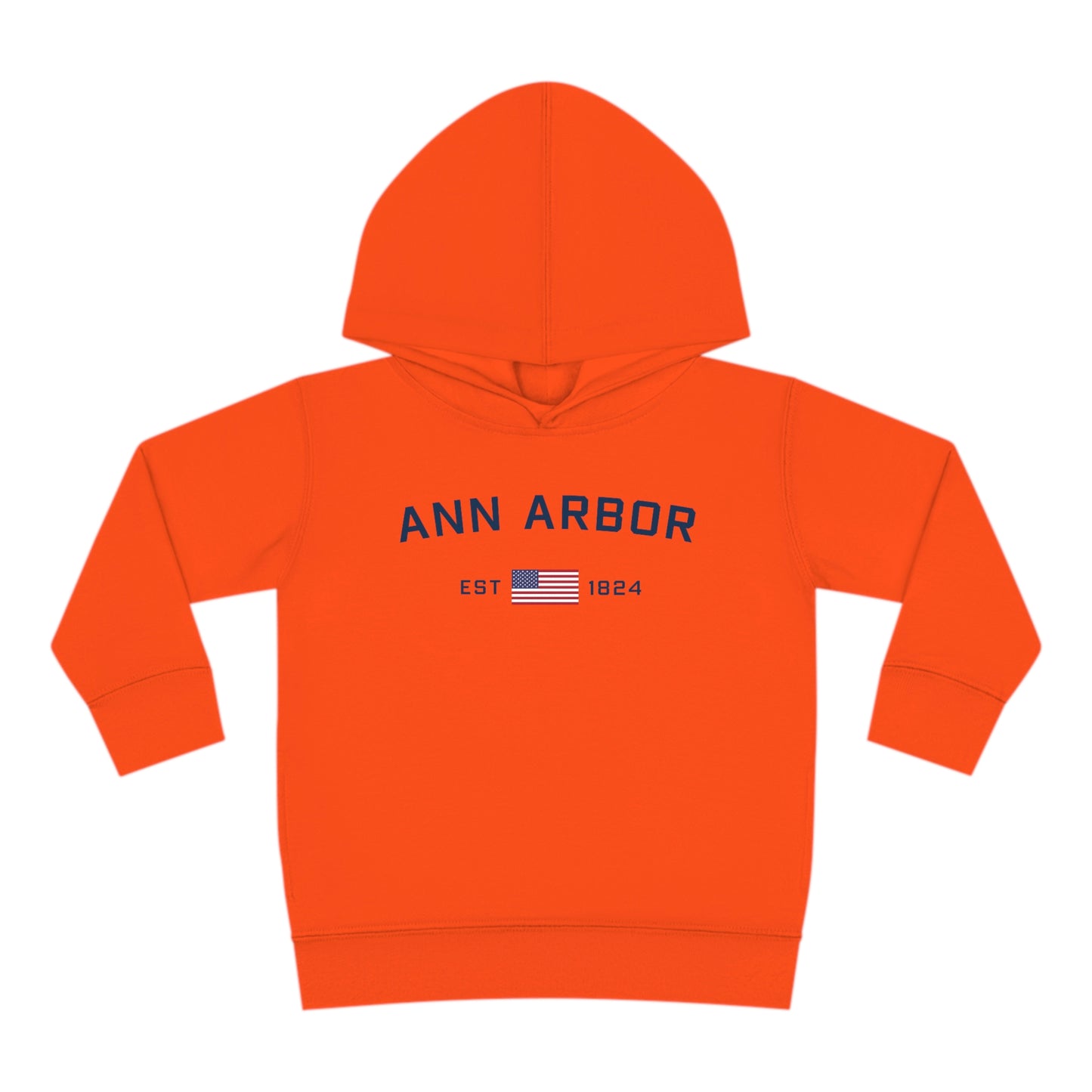 'Ann Arbor EST 1824' Hoodie (w/USA Flag Outline) | Unisex Toddler