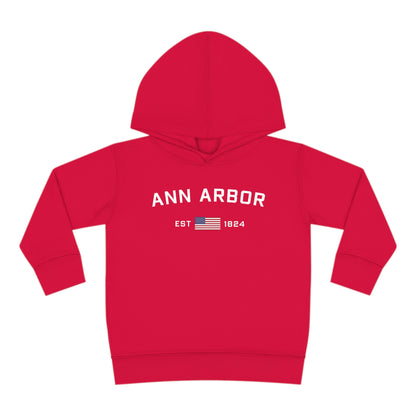 'Ann Arbor EST 1824' Hoodie (w/USA Flag Outline) | Unisex Toddler